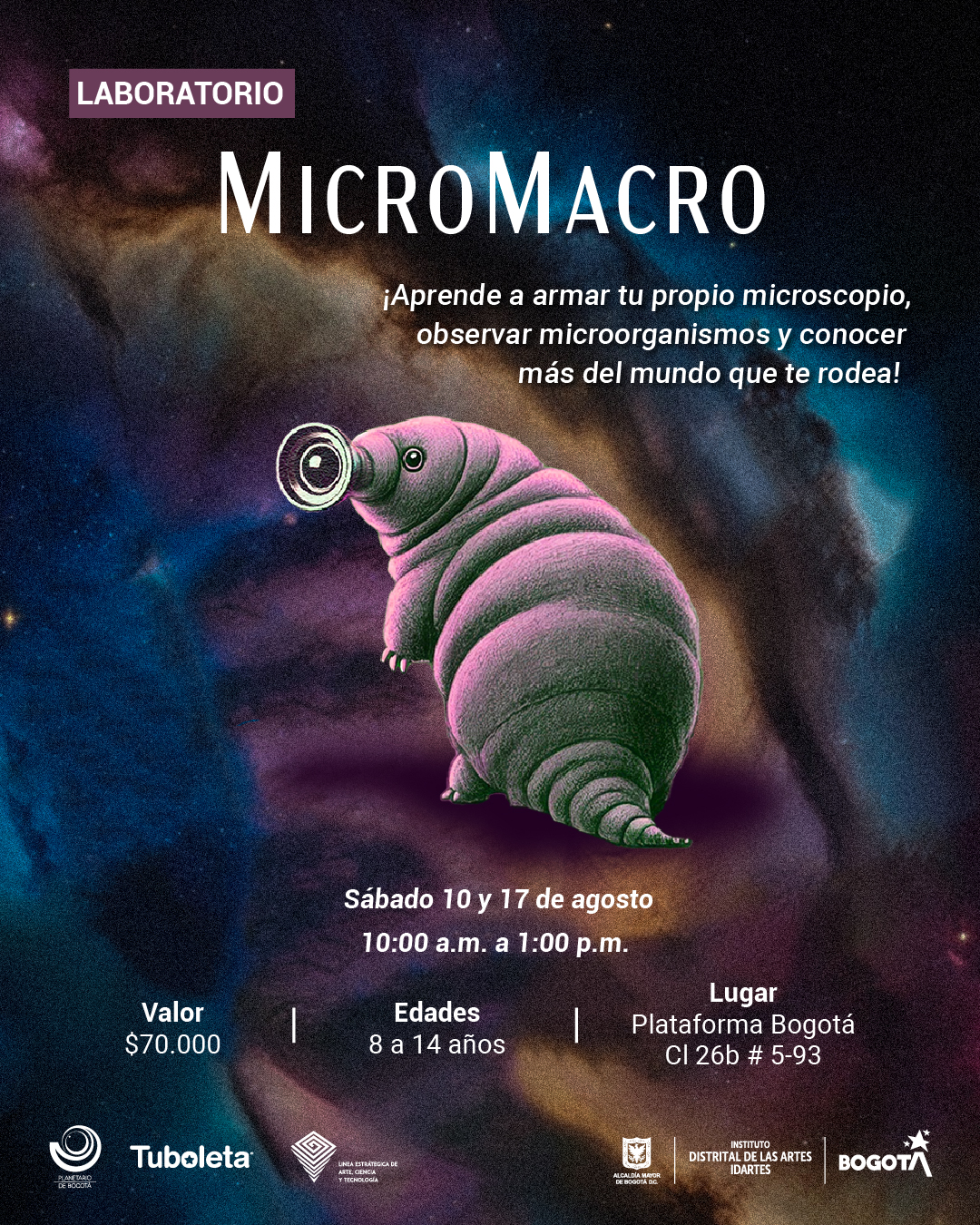 Invitación a MicroMacro