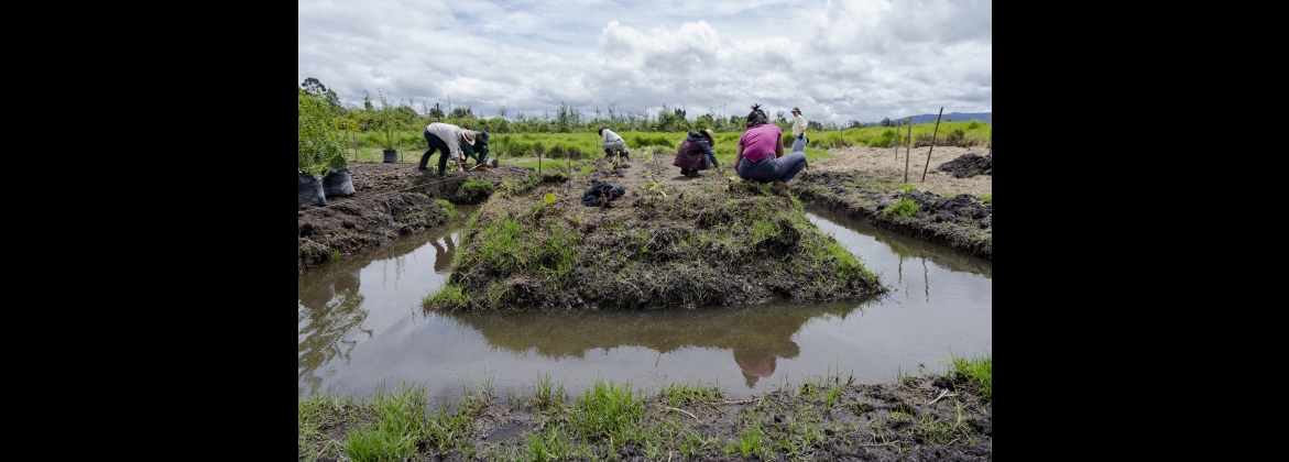 Beca de investigación en arte, tecnología y ancestralidad – Zanjas y camellones