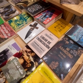 Pequeños Conciertos en Librerías - Lucio Feuillet en Matorral Librería. Foto: Mathew Valbuena / Idartes.