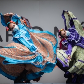Danza folclor