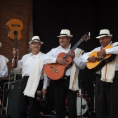 Músicos populares