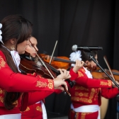 Músicos populares