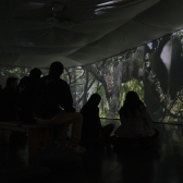Exposición Salvando Primates en el Planetario de Bogotá