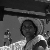 Película Araya