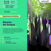 Vacaciones Recreativas - Programación 