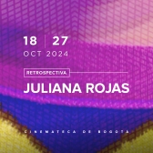 Programación Retrospectiva Juliana Rojas 