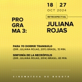 Programación Retrospectiva Juliana Rojas 
