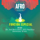 Pieza gráfica - Muestra Afro