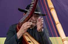 Serenatas a Bogotá