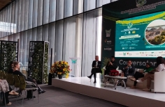 Cumbre Internacional de Sostenibilidad e Innovación Ambiental