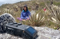 Imagen de mujer escuchando la naturaleza en montaña de Bogotá con un micrófono en frente.