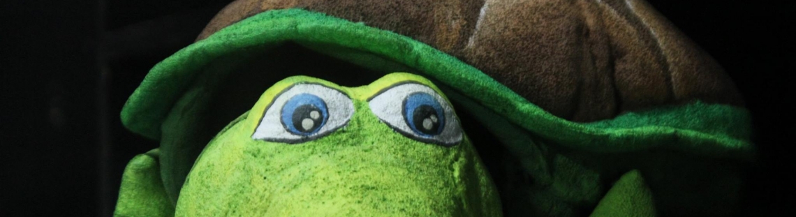 Tortuga títere verde