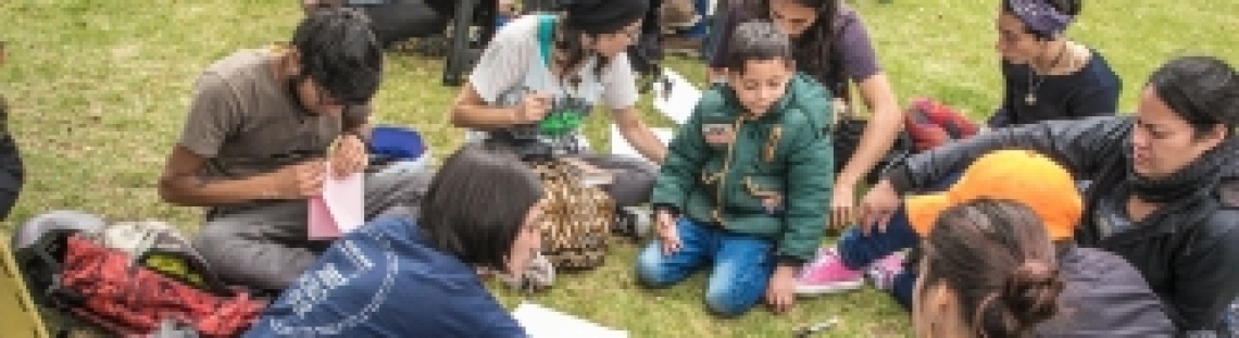 Personas disfrutando de una actividad de lectura al aire libre.