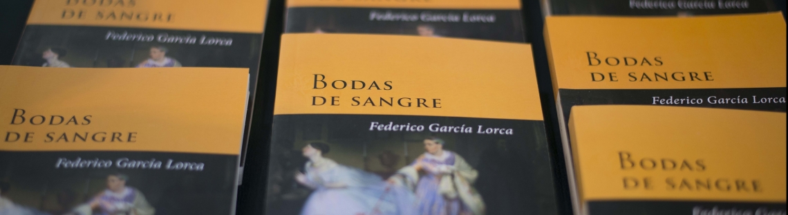 Radionovelas Libro al Viento, 2021.