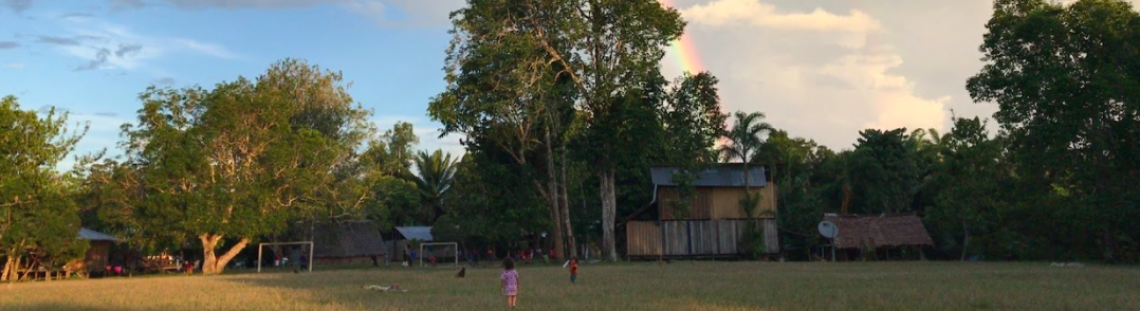 niños en campo 