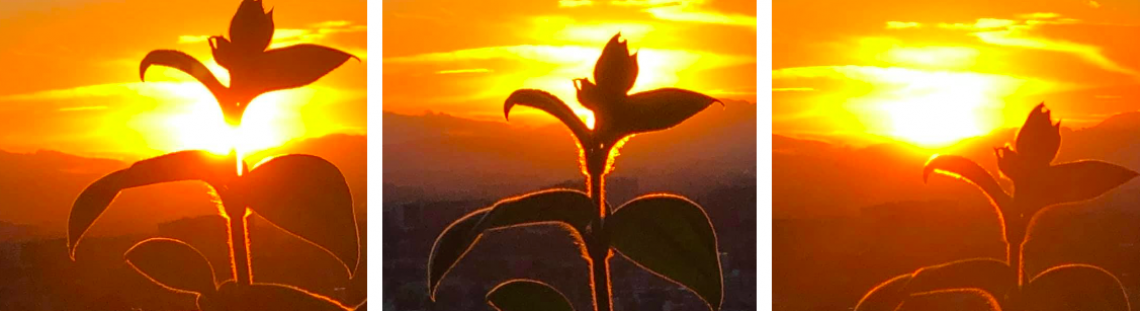 atardecer 
