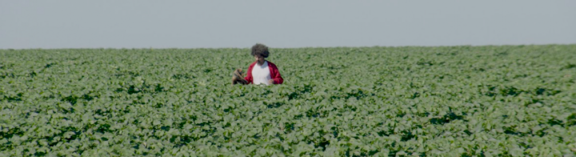 Hombre en el campo