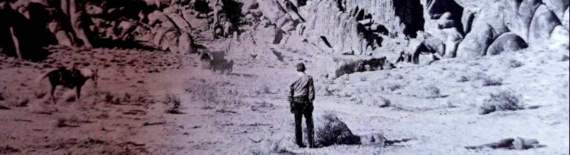 Vaquero en un escenario western - oeste