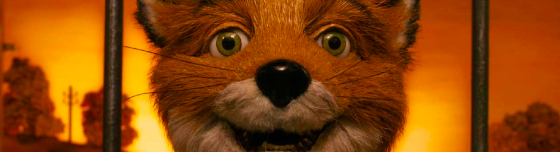 Zorro animado 