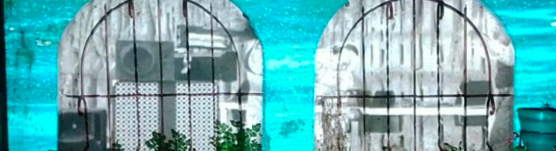 Dos ventanas con rejas y matas en el borde 