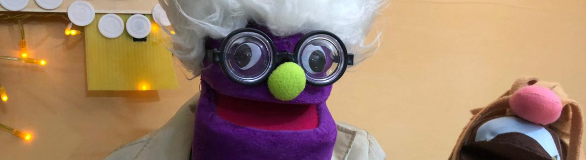 La casa de los objetos: historia de las mascotas