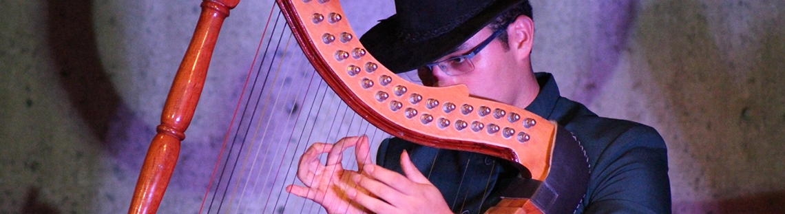 Escena Concierto Ensamble Baquiano