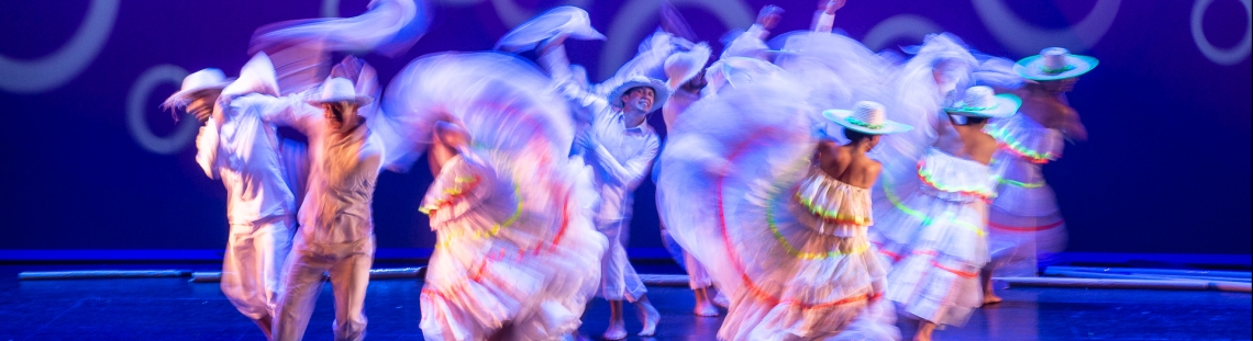 Danza folclor