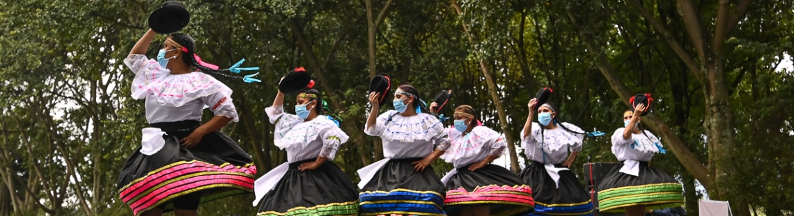 Grupo de bailarines de danza tradicional