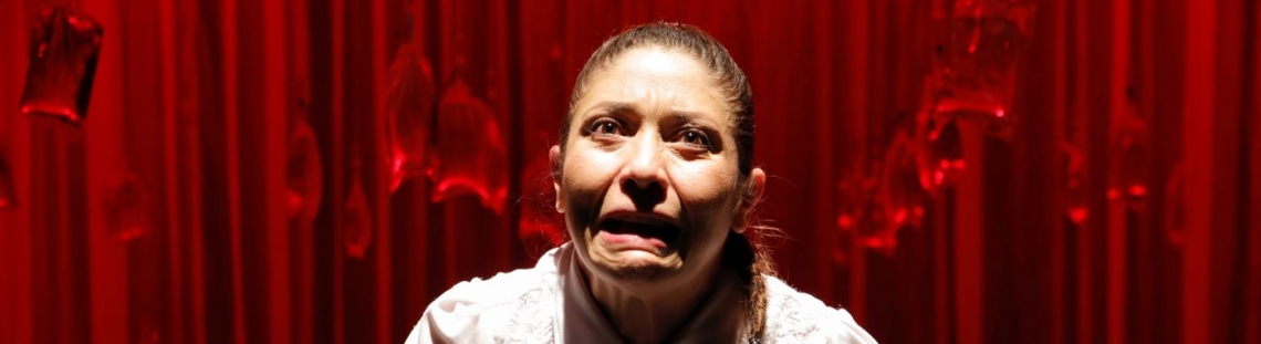 La actriz Diana Belmonte en escena