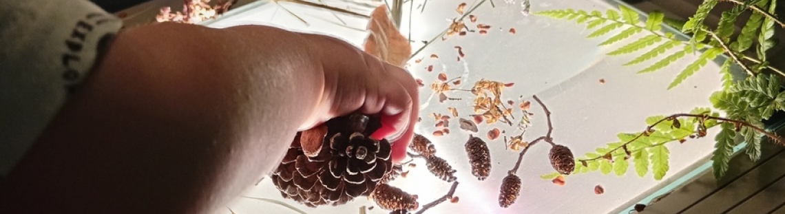 mano de niño con elementos sobre caja de luz