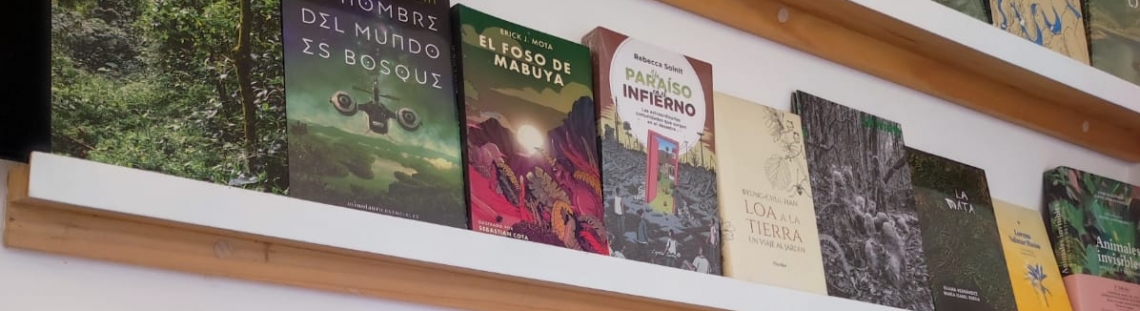 Libros en estantería