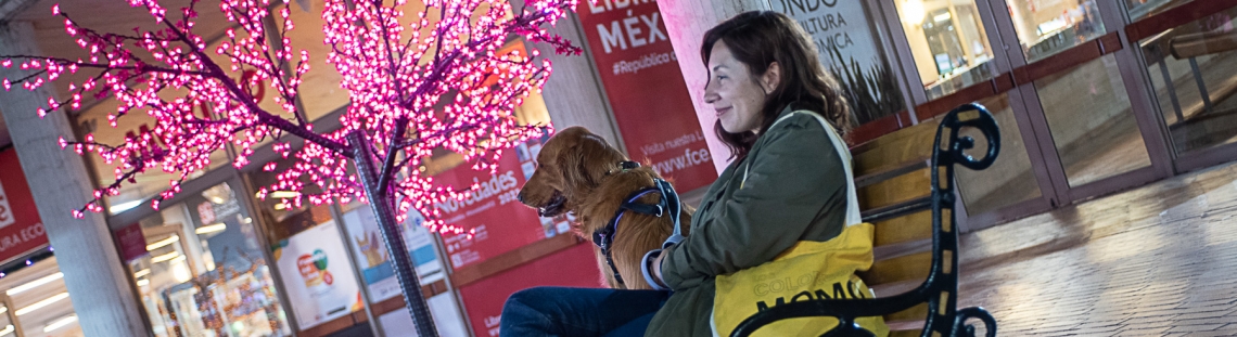 Perro y mujer joven en el Fondo de Cultura Económica, que está adornado de Navidad. Foto: Juan Santacruz / Idartes.