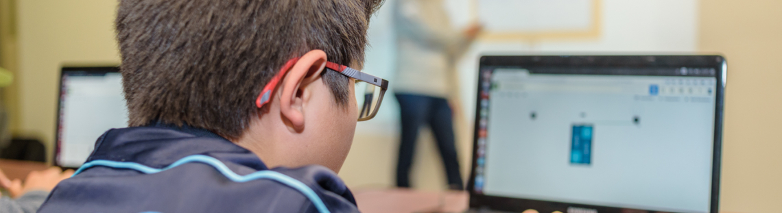 Niño frente a la pantalla del computador