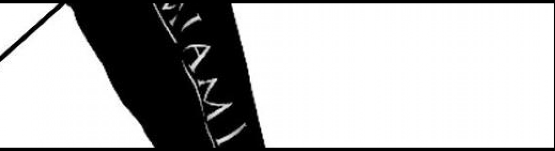 Bandera negra