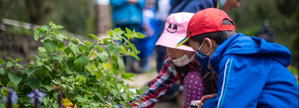 Dos niños analizando dos plantas con una grabadora. 