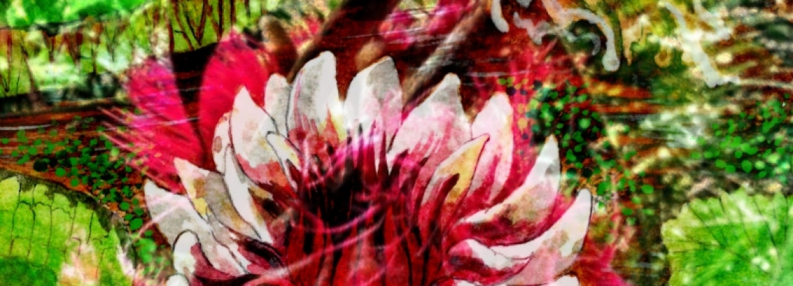 flor con plantas alrededor