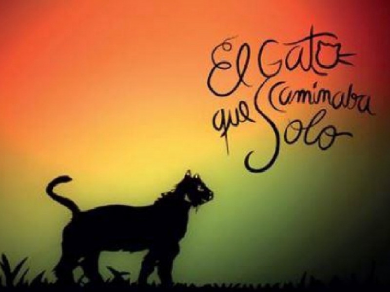 'El gato que caminaba solo' en Ciudad Bolíva