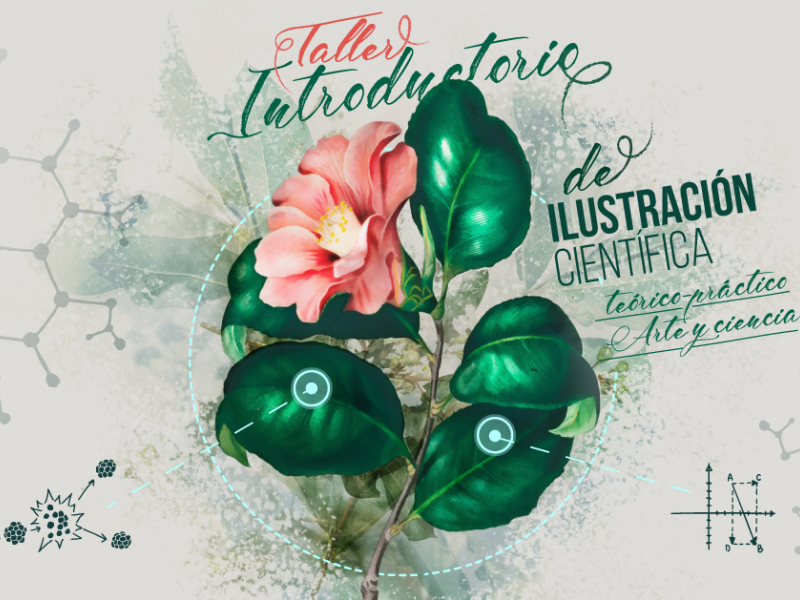 Poster del taller con flor y hojas verdes.