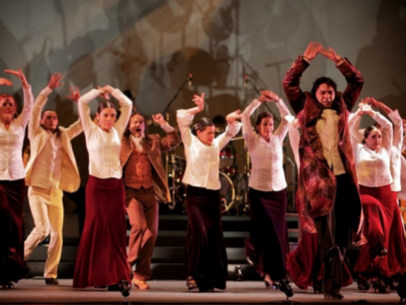 Grupo de bailarines de flamenco en escena