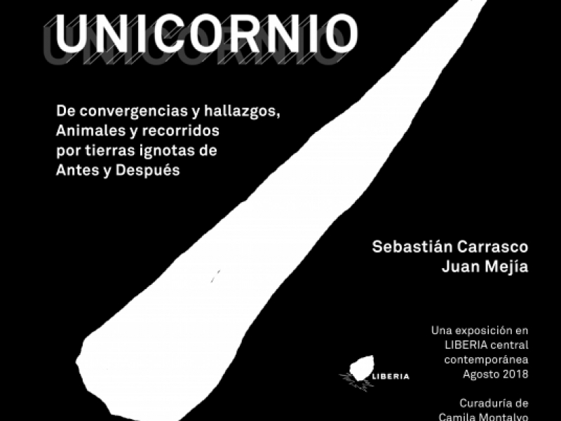 Flyer Unicornio