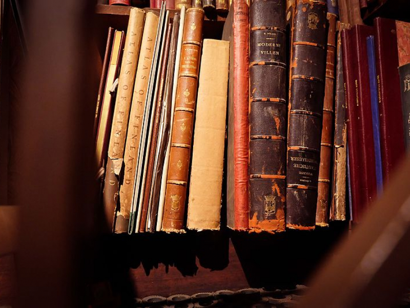 Libros antiguos en una estatntería.