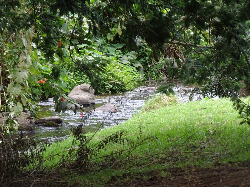 Rio Teusaca