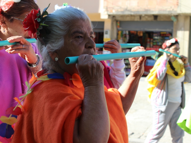 Mujer mayor con instrumento