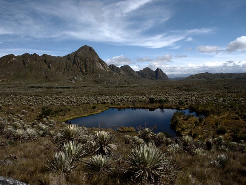 Paramo de Sumapaz - Wikimedia Commons.