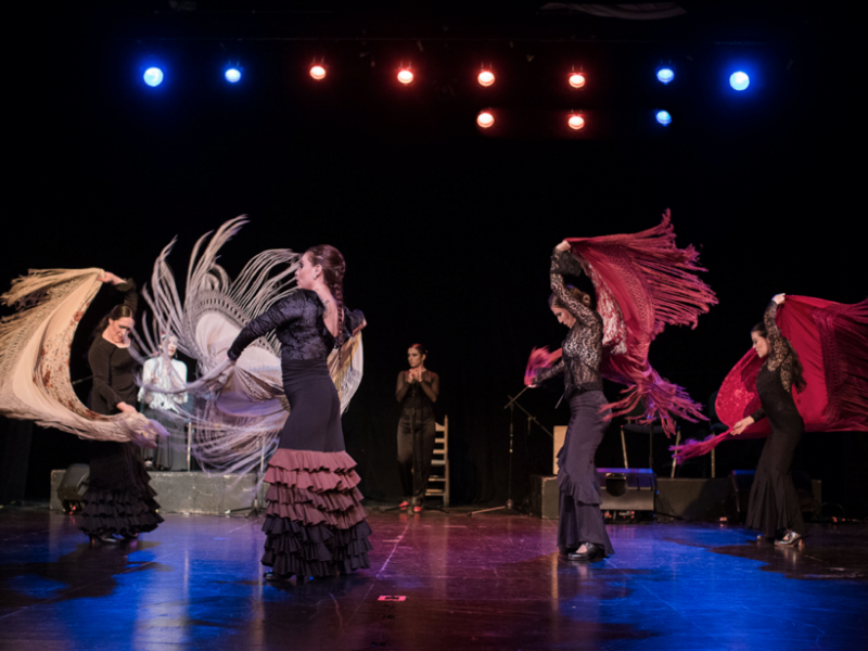 Bailarinas de flamenco en escena