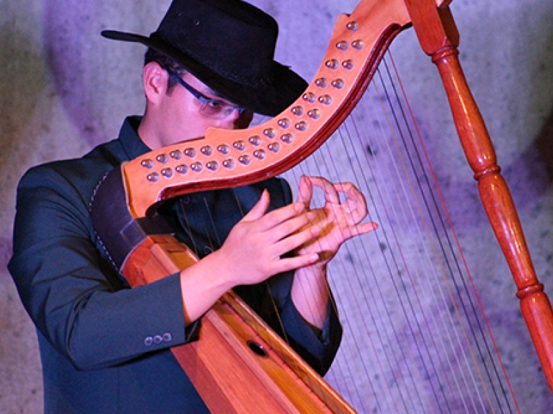Concierto Ensamble Baquiano