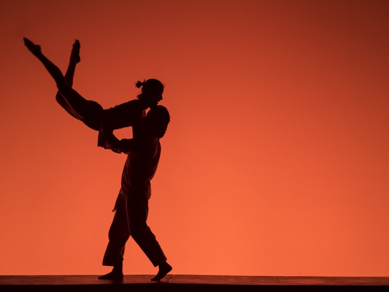 Lanzamiento Plataforma Danza Bogotá