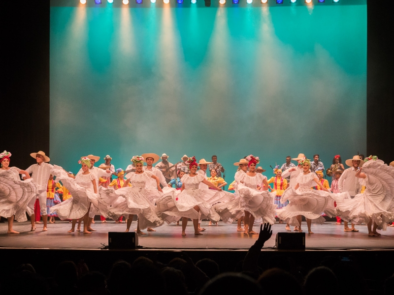 Compañías Residentes permanentes Plataforma Danza Bogotá