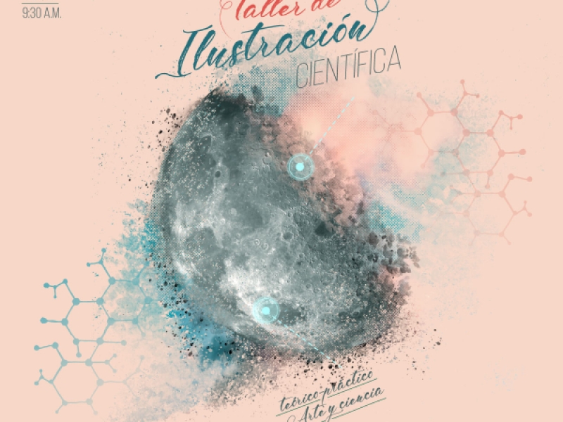 Taller de ilustración científica