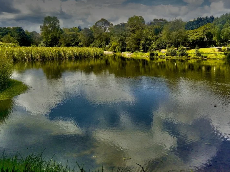 Patrimonio biocultural